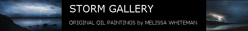 Storm Gallery Website