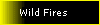 Wild Fires / Bush Fires