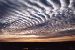 Altocumulus Mackerel Sky