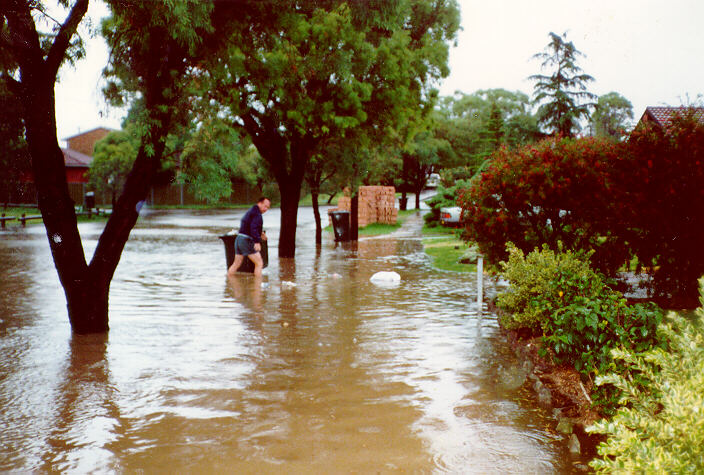 contributions received : Prospect, NSW<BR>Photo by Peter Brien   1 November 1987