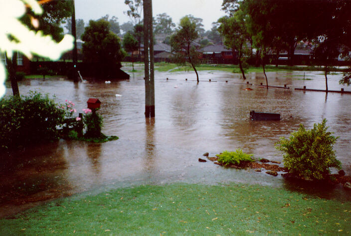 contributions received : Prospect, NSW<BR>Photo by Peter Brien   1 November 1987