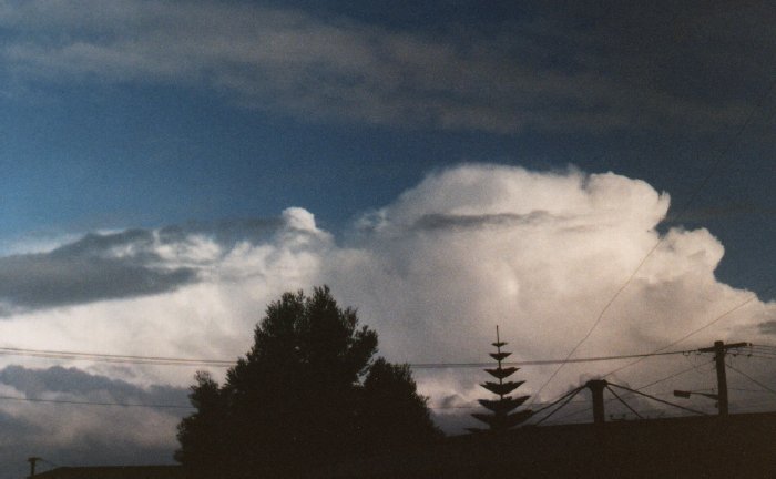 contributions received : Devonport, TAS<BR>Photo by Andrew Boskell   1 September 1989