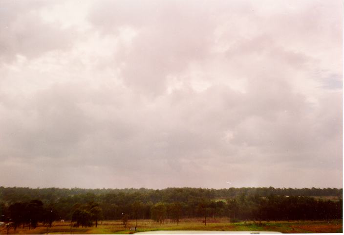 stratocumulus stratocumulus_cloud : Schofields, NSW   8 April 1990