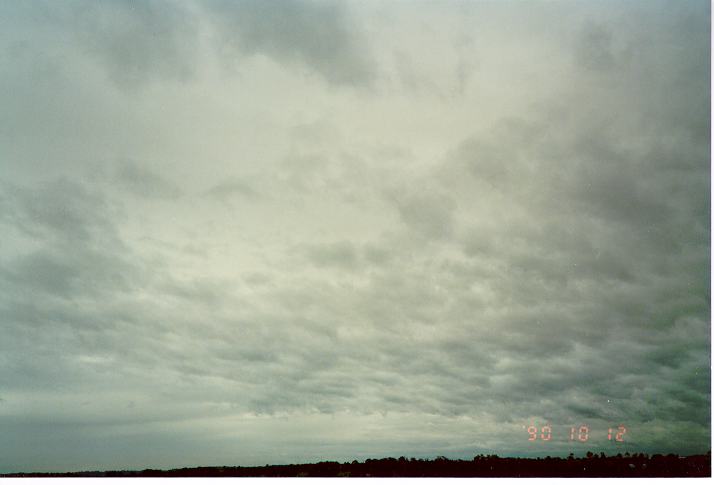 stratocumulus stratocumulus_cloud : Schofields, NSW   12 October 1990