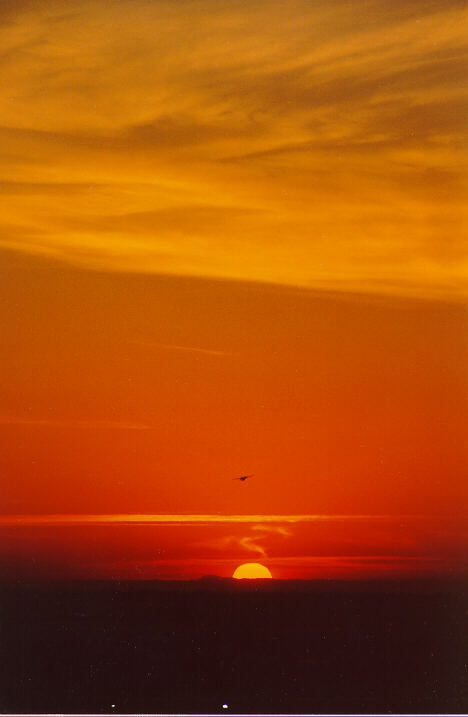 favourites michael_bath : Coogee, NSW   18 October 1990