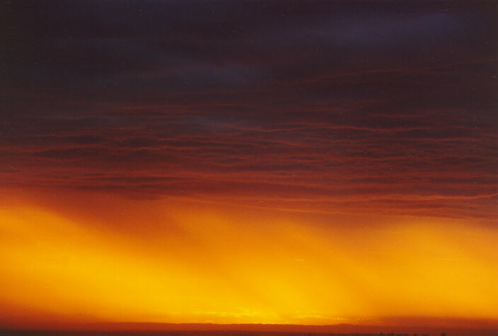 favourites michael_bath : Coogee, NSW   26 January 1991