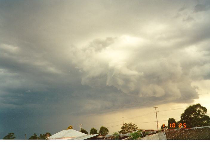 favourites jimmy_deguara : Schofields, NSW   25 October 1991