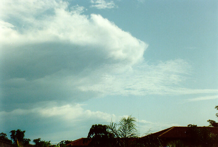 mammatus mammatus_cloud : Oakhurst, NSW   16 November 1991