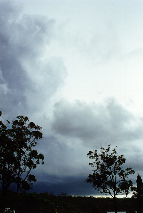 cumulonimbus thunderstorm_base : South Kempsey, NSW   21 December 1991