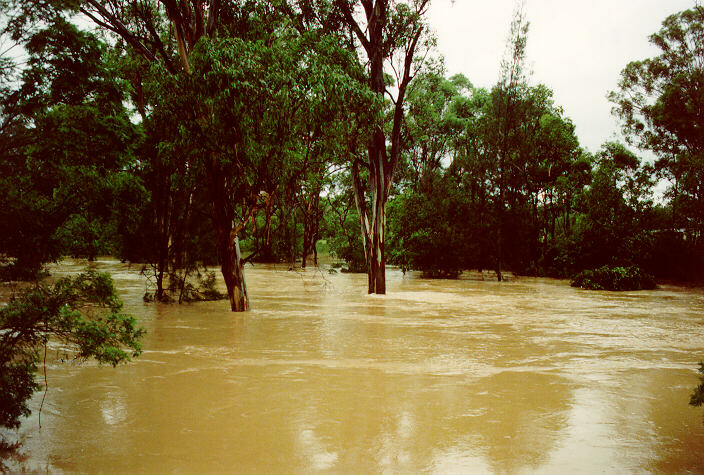 flashflooding flood_pictures : Riverstone, NSW   10 February 1992