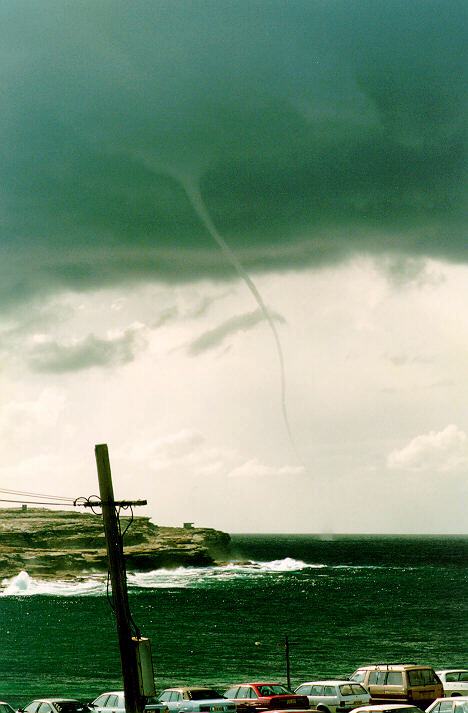 contributions received : Malabar, NSW<BR>Photo by Anna Foley   29 March 1993