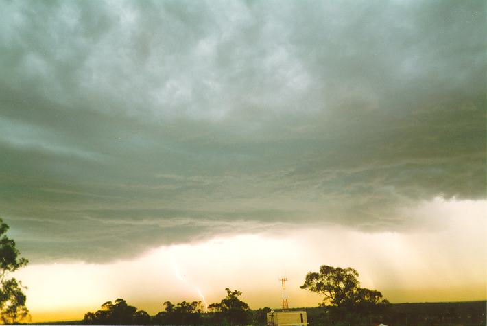 raincascade precipitation_cascade : Riverstone, NSW   19 November 1993