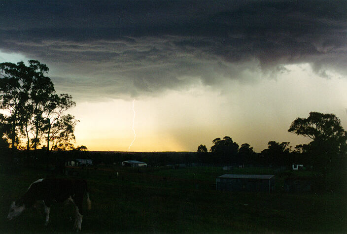 raincascade precipitation_cascade : Riverstone, NSW   19 November 1993