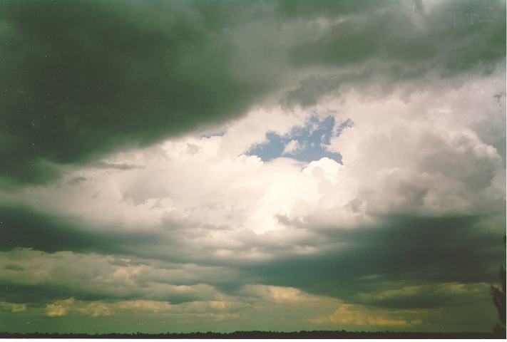 thunderstorm cumulonimbus_calvus : Schofields, NSW   4 December 1993