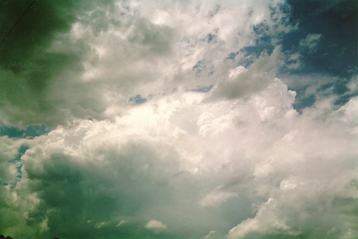 thunderstorm cumulonimbus_calvus : Schofields, NSW   4 December 1993