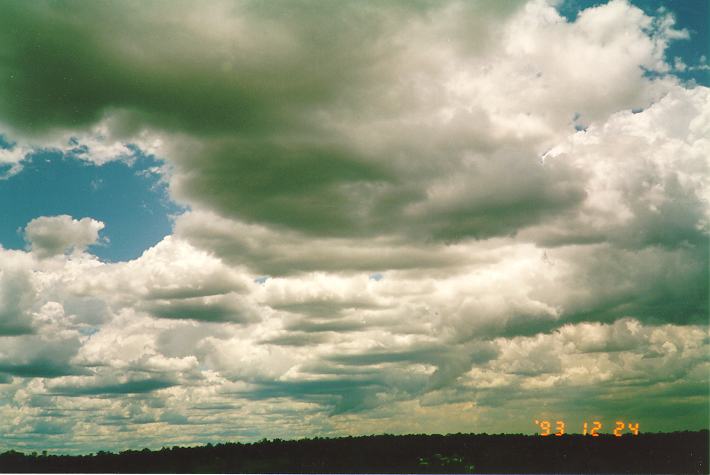 cumulus mediocris : Schofields, NSW   24 December 1993