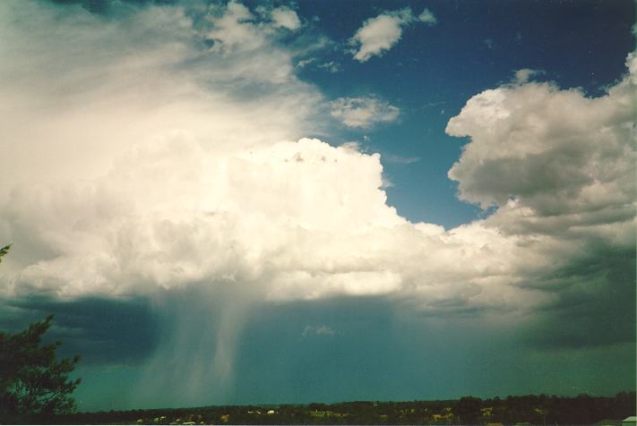 thunderstorm cumulonimbus_calvus : Schofields, NSW   26 December 1993