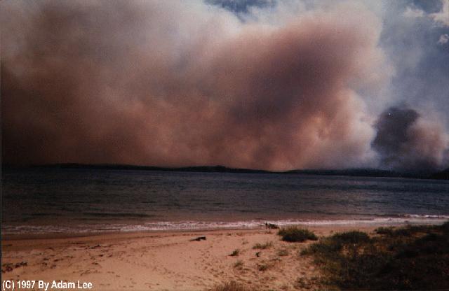 contributions received : Batemans Bay, NSW<BR>Photo by Adam Lee   3 January 1994