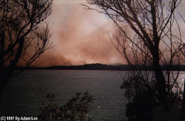 contributions received : Batemans Bay, NSW<BR>Photo by Adam Lee   3 January 1994