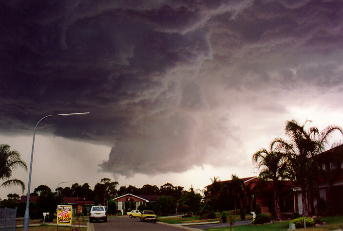 favourites michael_bath : Oakhurst, NSW   1 February 1994