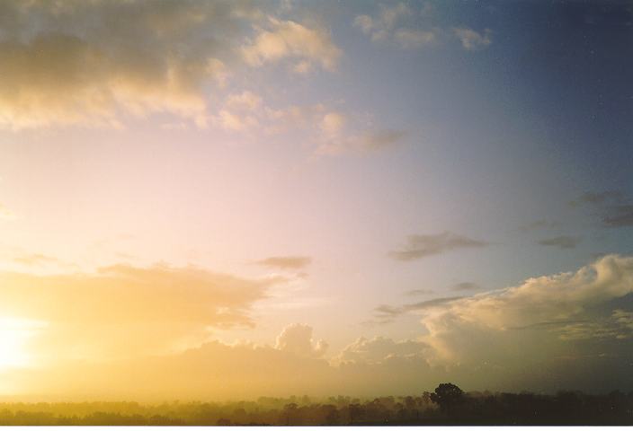 thunderstorm cumulonimbus_calvus : Schofields, NSW   30 March 1994