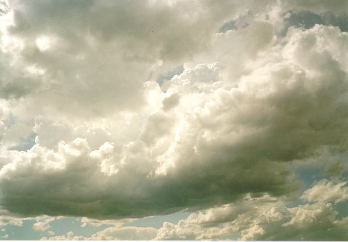 cumulus congestus : Schofields, NSW   13 September 1994