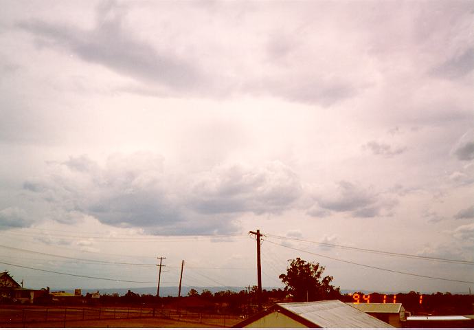 cumulus mediocris : Schofields, NSW   1 November 1994