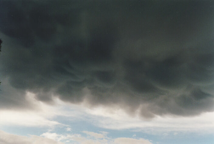 mammatus mammatus_cloud : Oakhurst, NSW   4 November 1994