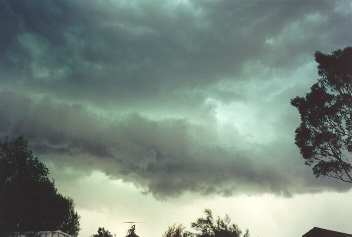 shelfcloud shelf_cloud : Oakhurst, NSW   20 November 1994