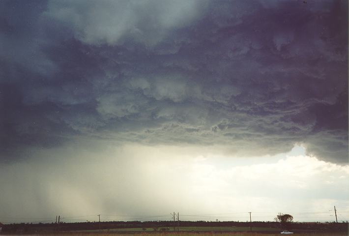 raincascade precipitation_cascade : Schofields, NSW   1 January 1995