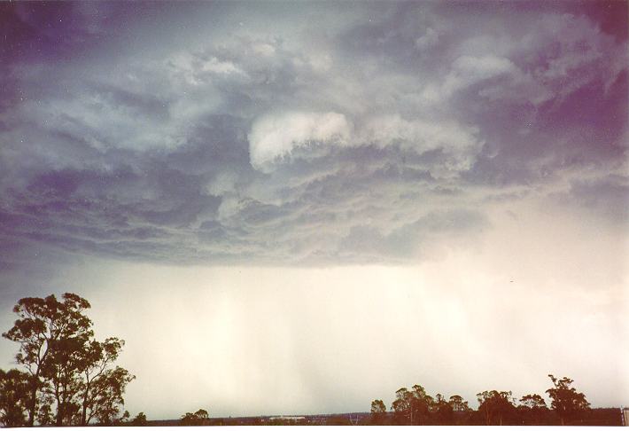 wallcloud thunderstorm_wall_cloud : Schofields, NSW   1 January 1995