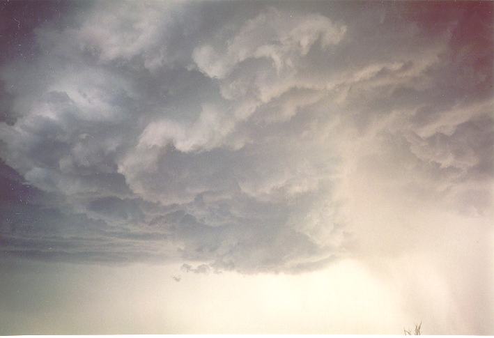 wallcloud thunderstorm_wall_cloud : Schofields, NSW   1 January 1995