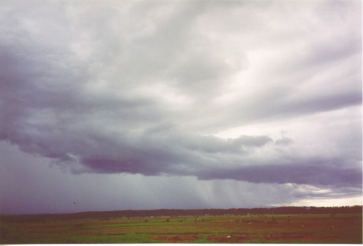 cumulonimbus thunderstorm_base :    5 January 1995