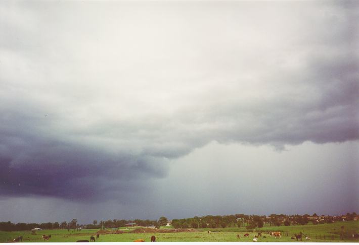 cumulonimbus thunderstorm_base :    5 January 1995