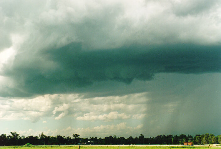 cumulonimbus thunderstorm_base : Richmond, NSW   29 January 1995