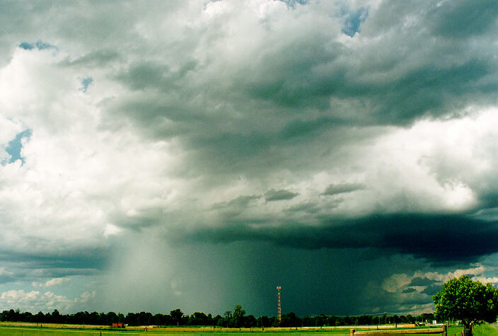 raincascade precipitation_cascade : Richmond, NSW   29 January 1995