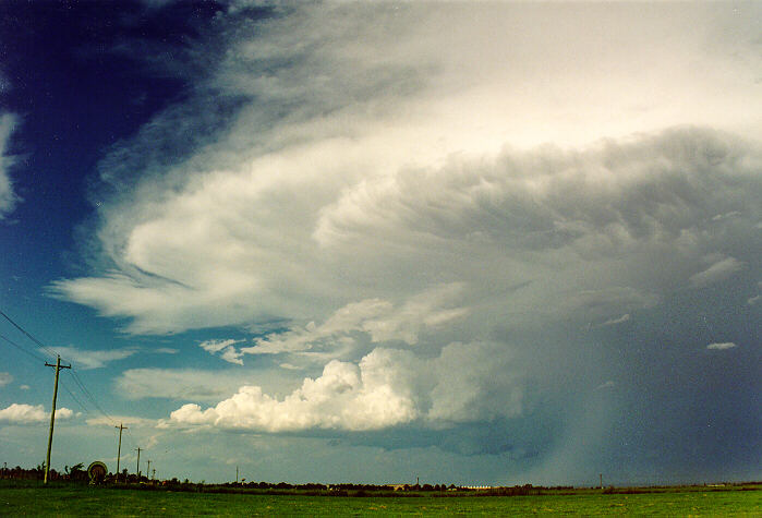 favourites michael_bath : Windsor, NSW   5 February 1995