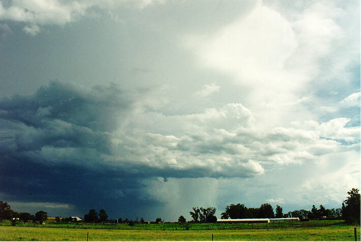 thunderstorm cumulonimbus_incus : Richmond, NSW   5 February 1995