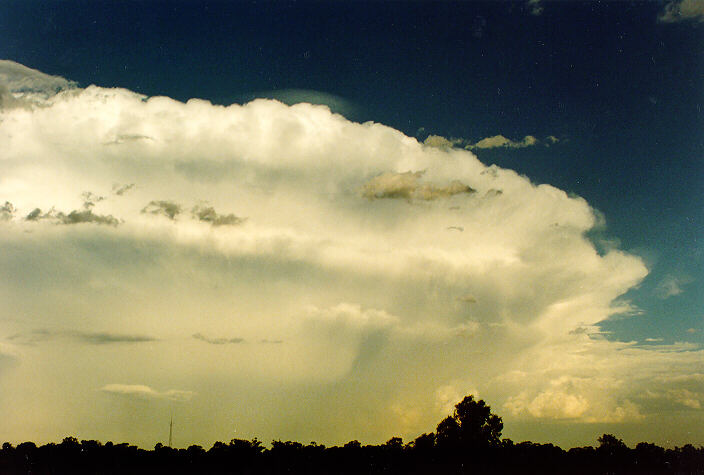 anvil thunderstorm_anvils : Oakhurst, NSW   5 February 1995