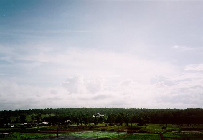 stratus stratus_cloud : Schofields, NSW   11 February 1995