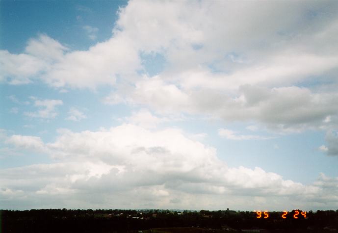 cumulus mediocris : Schofields, NSW   23 February 1995