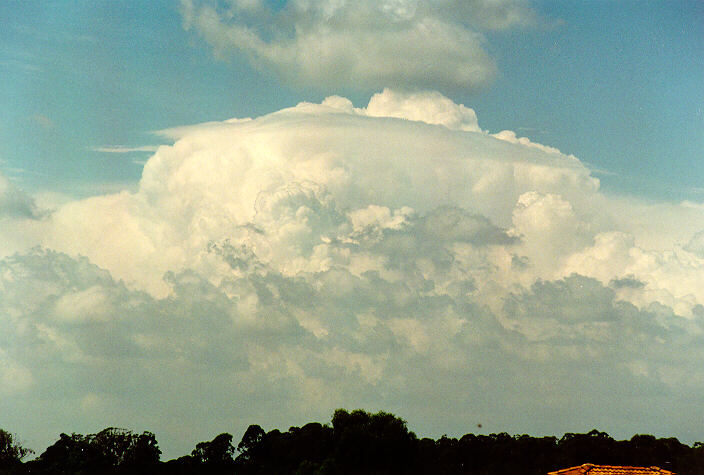 overshoot overshooting_top : Oakhurst, NSW   19 March 1995