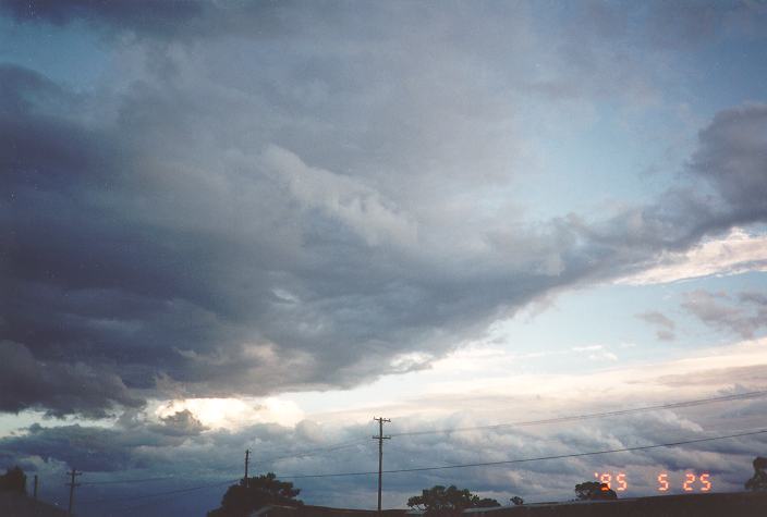 cumulus mediocris : Schofields, NSW   25 May 1995