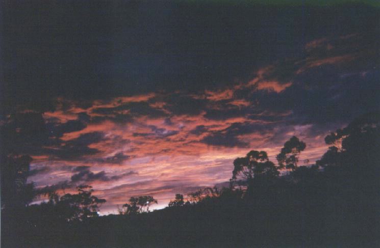 contributions received : Frenchs Forest, NSW<BR>Photo by Brett Wilson   1 June 1995