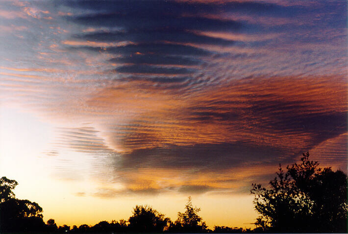 favourites michael_bath : Oakhurst, NSW   11 July 1995