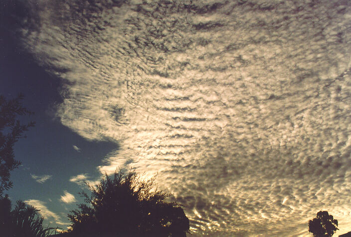 altocumulus undulatus : Oakhurst, NSW   16 July 1995