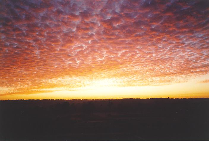 altocumulus altocumulus_cloud : Schofields, NSW   21 July 1995