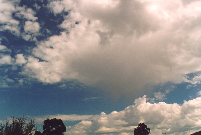 cumulus mediocris : Oakhurst, NSW   1 October 1995