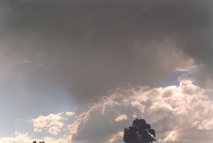 cumulus mediocris : Oakhurst, NSW   1 October 1995