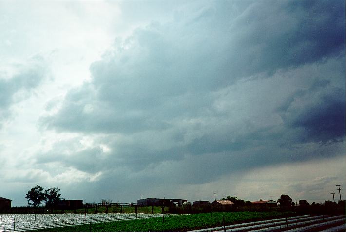 cumulus mediocris : Schofields, NSW   28 October 1995